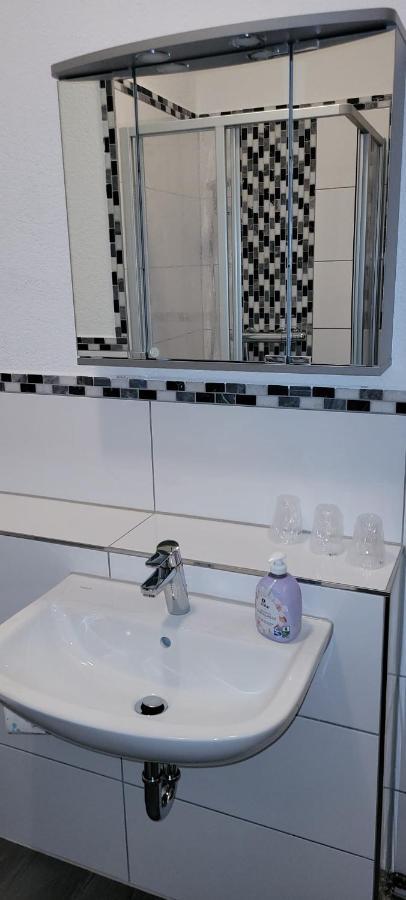 Ferienwohnung Zentral Und Ruhig In Auerbach Auerbach  Exterior foto